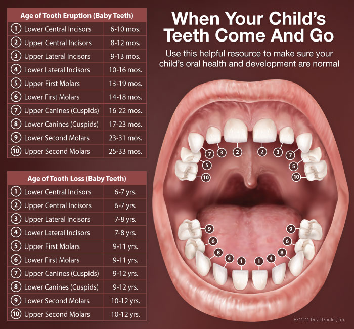 Pediatric Dentistry Bellingham WA