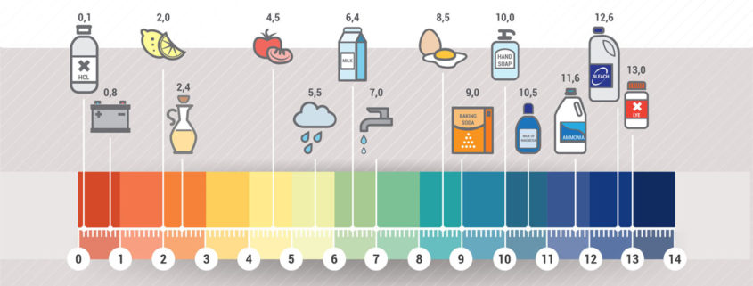 Dental pH Scale